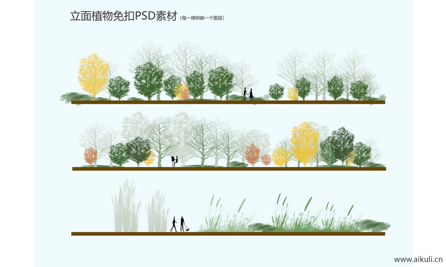 PSD素材分层免抠立面植物