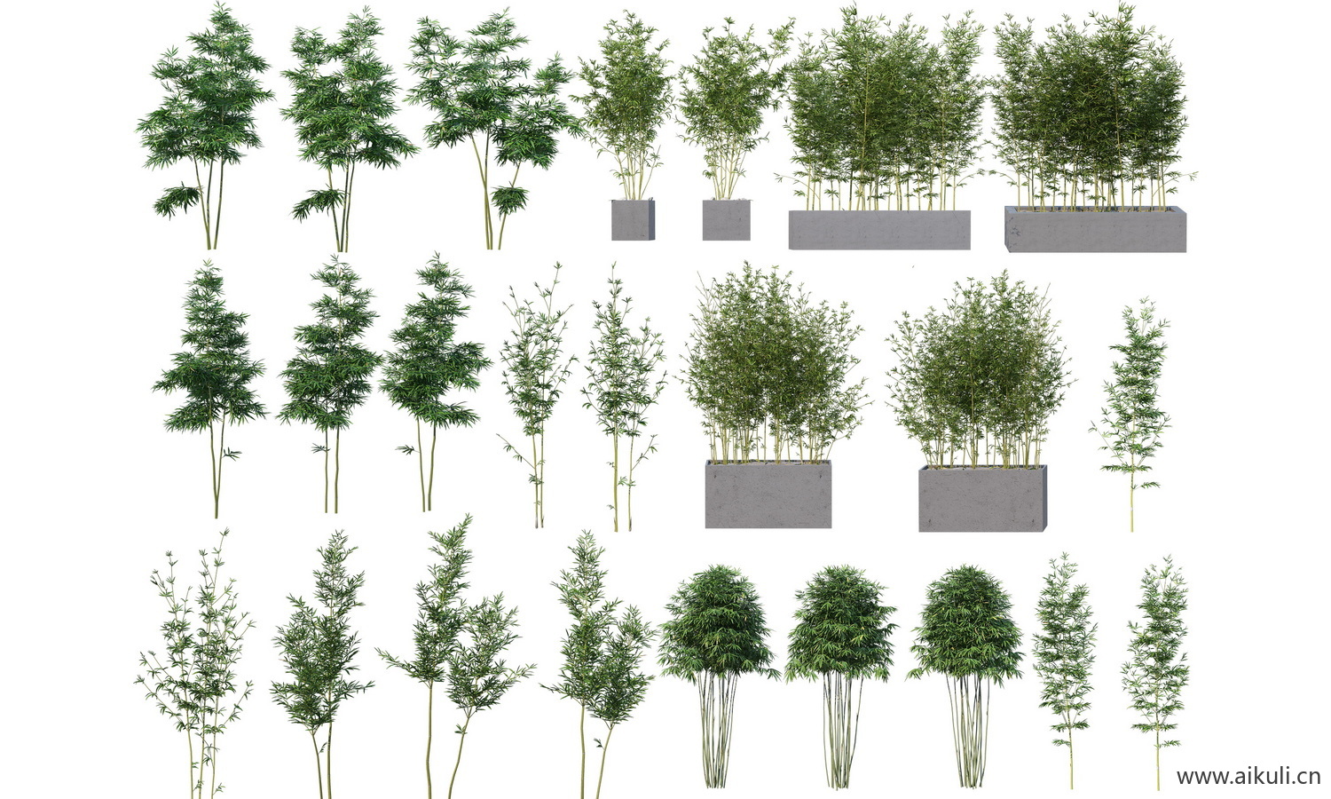 psd竹子植物免抠 园林景观园艺竹子植物素材