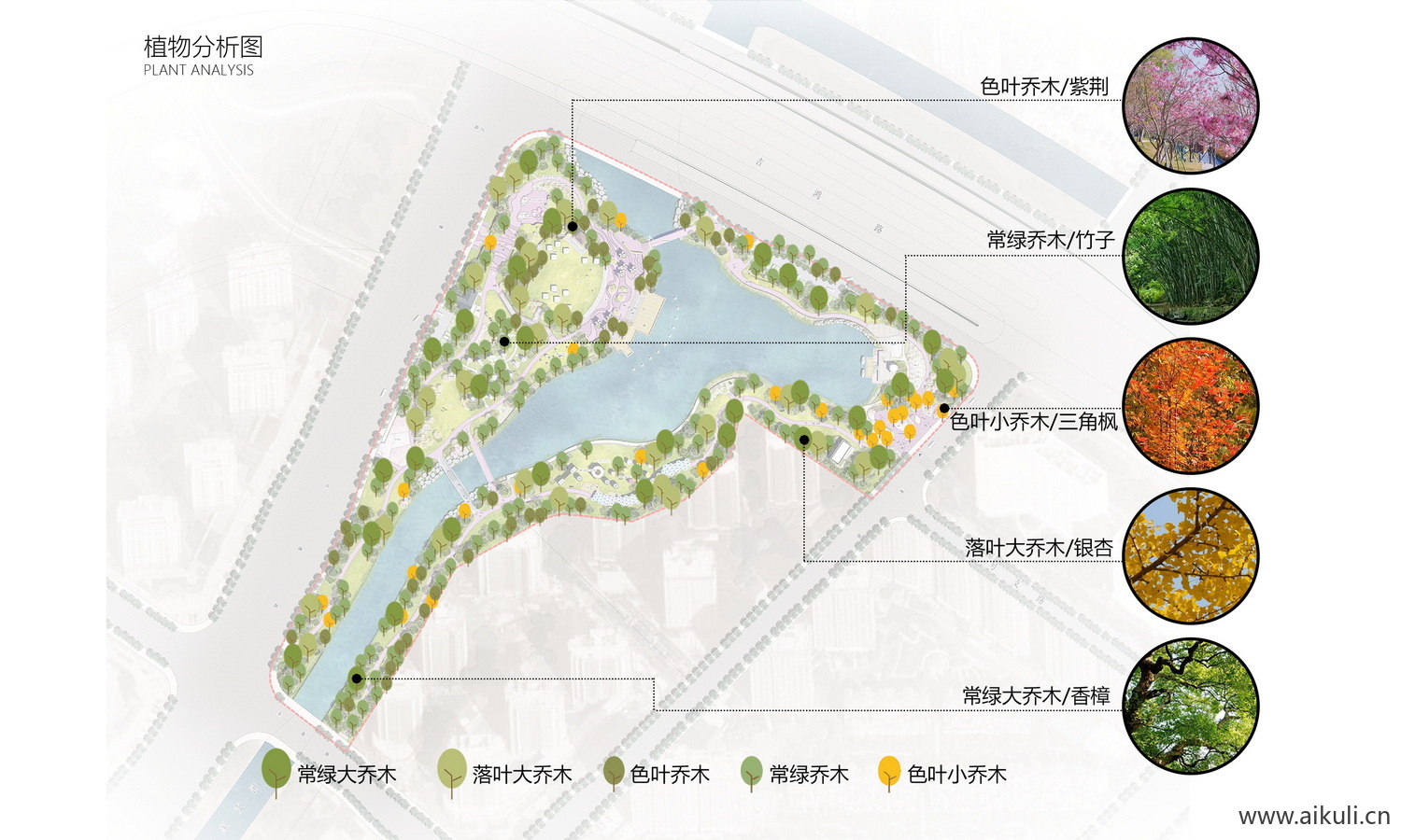 景观植物配植分析图  PS