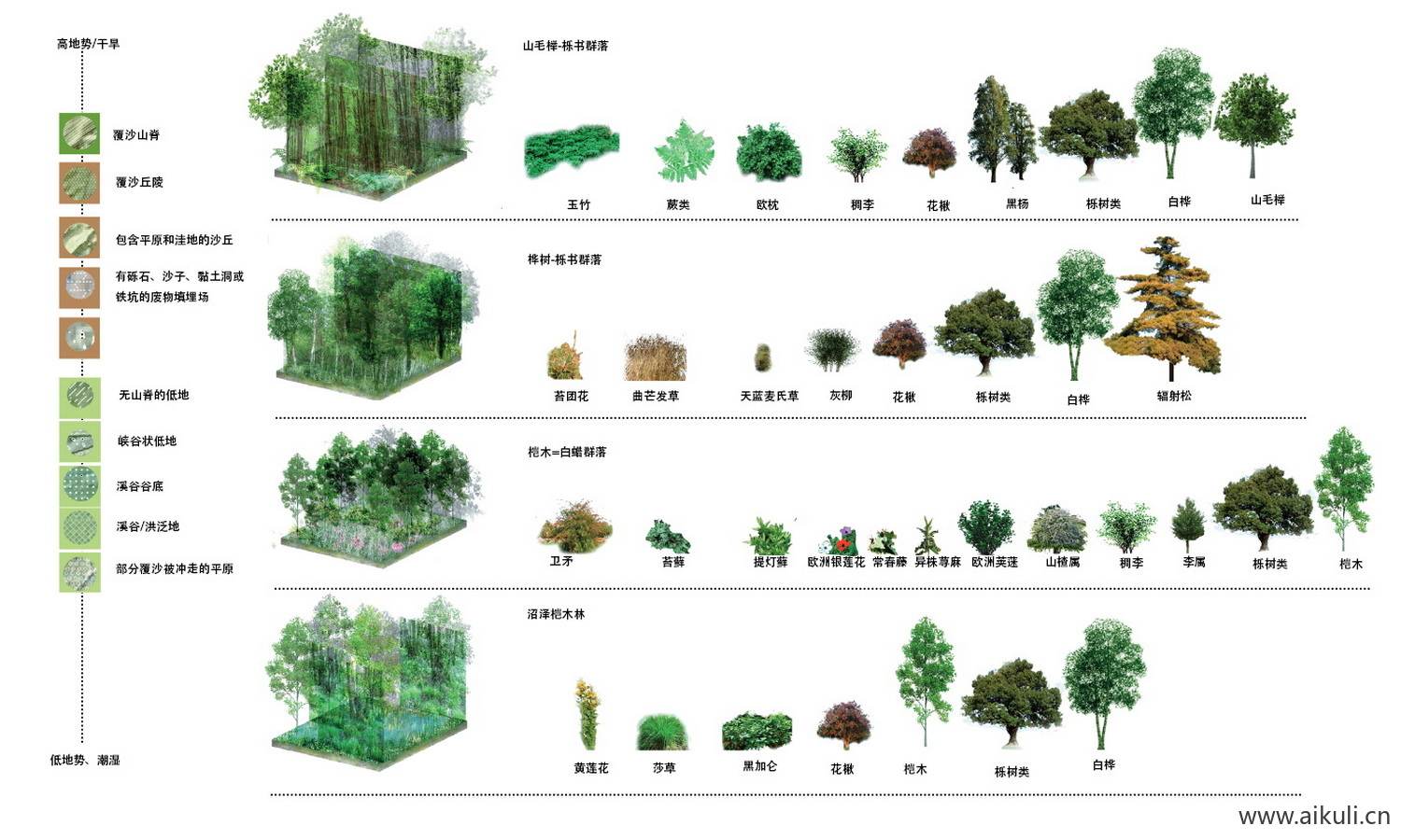 PS素材植物配植分析图 