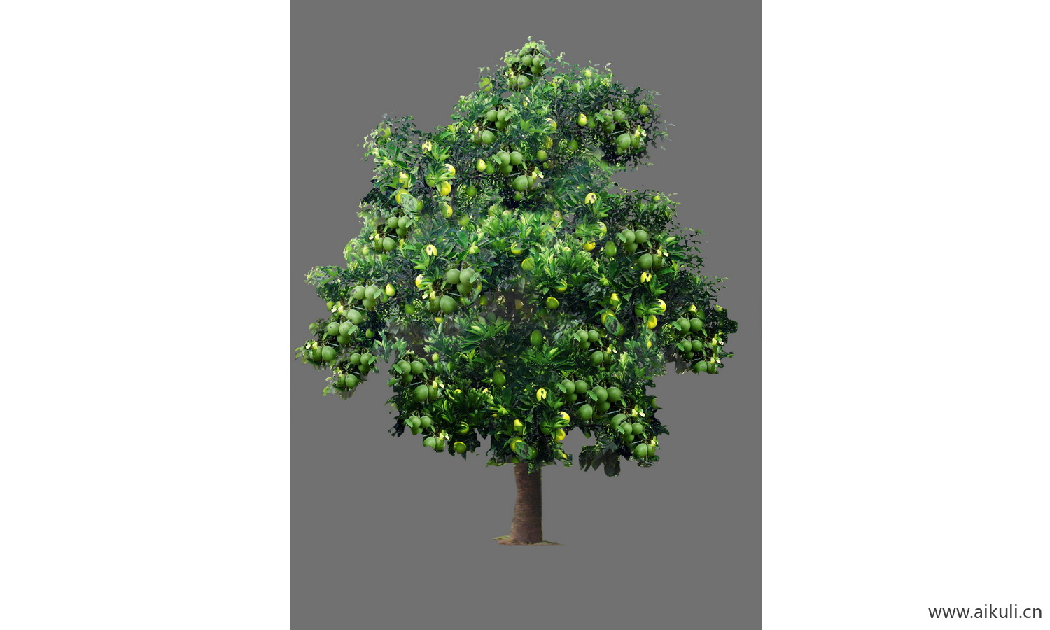 果树植物psd免抠 