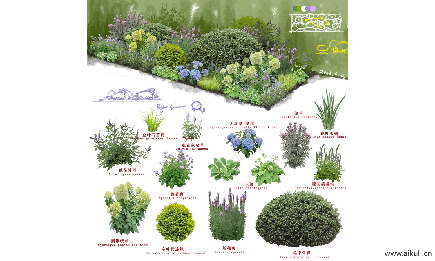 生态植物配植分析图 F素材PSD分层