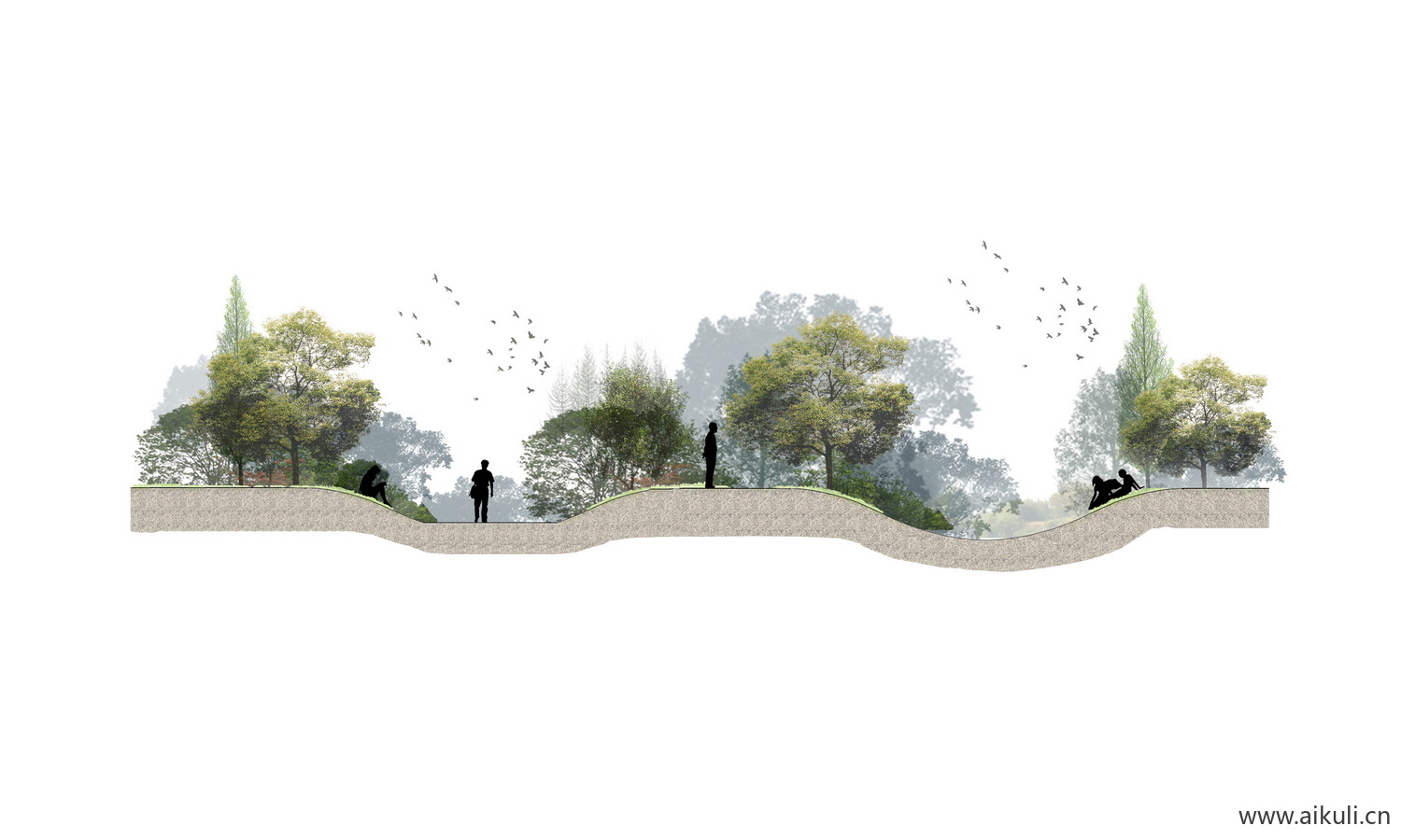 植物立面分析剖面图PS景观植物剖断面剖