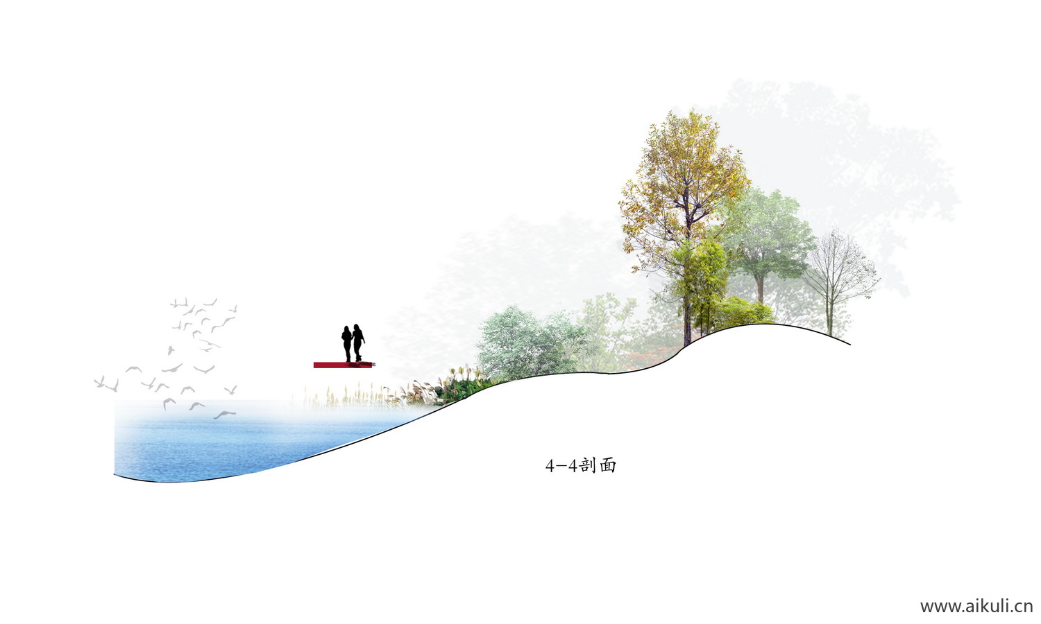 植物立面分析剖面图 剖断面剖PSD