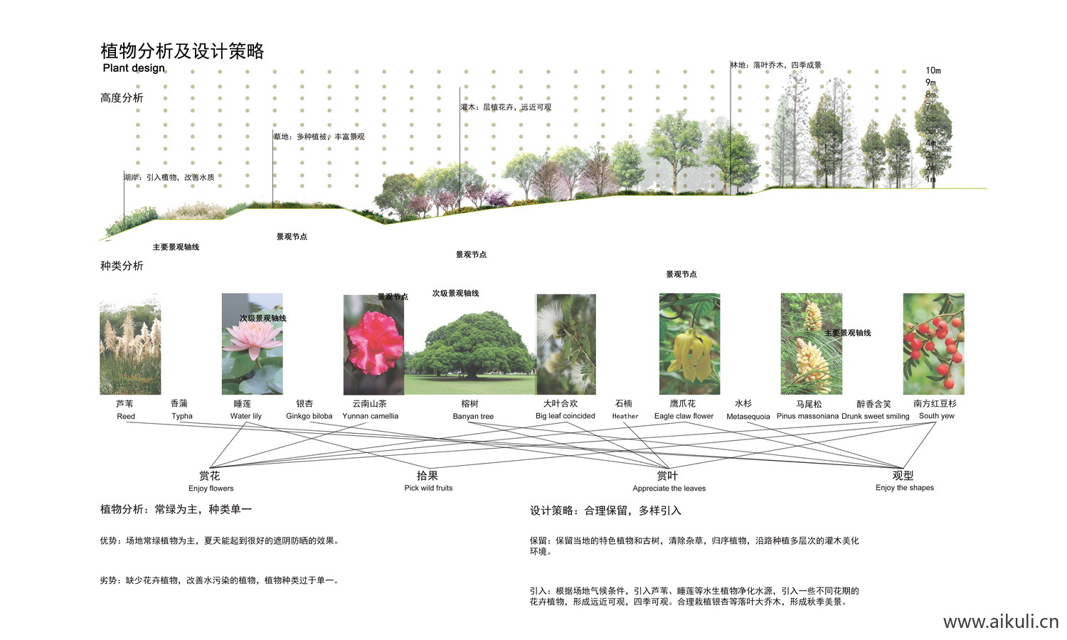 生态植物配植分析图PSD
