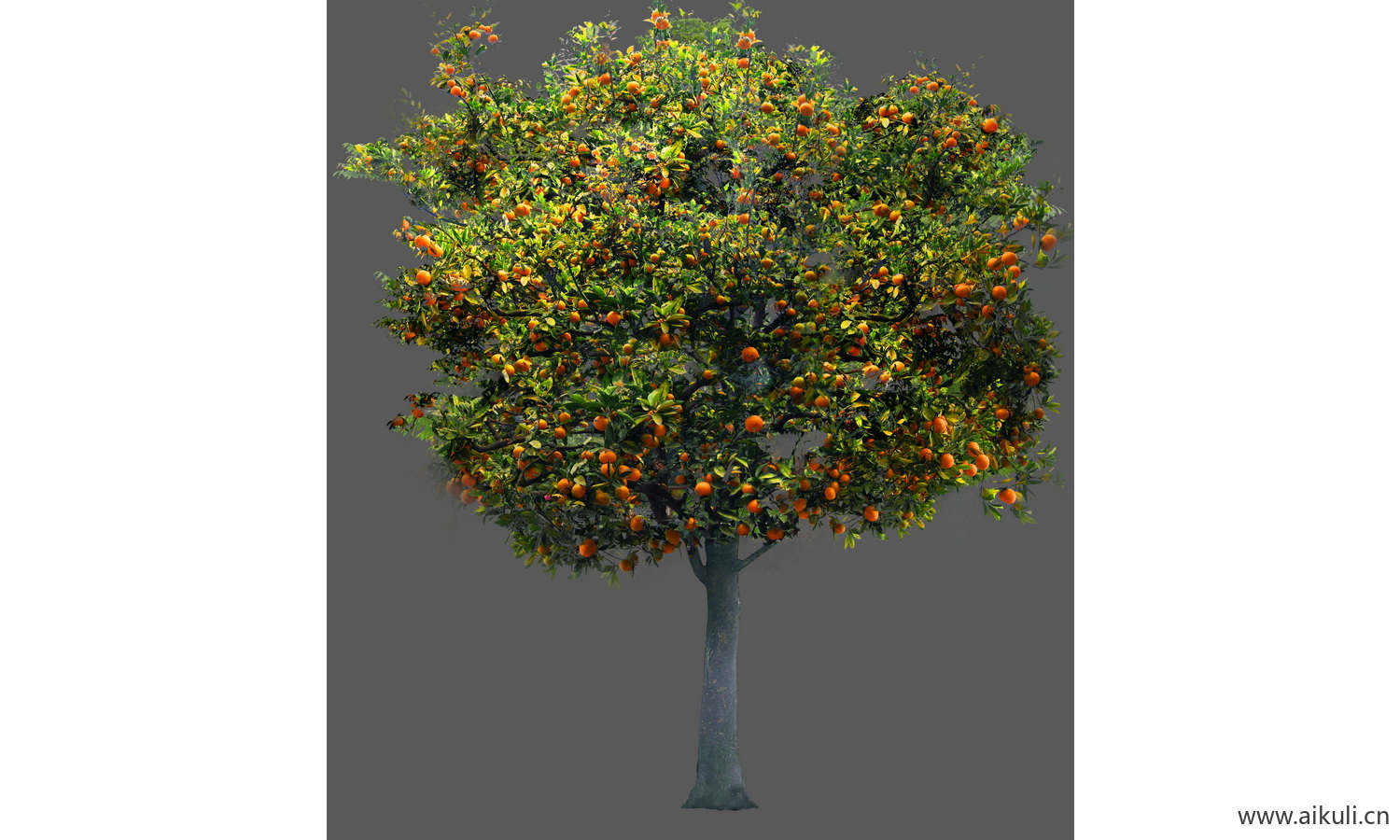 果树植物素材psd