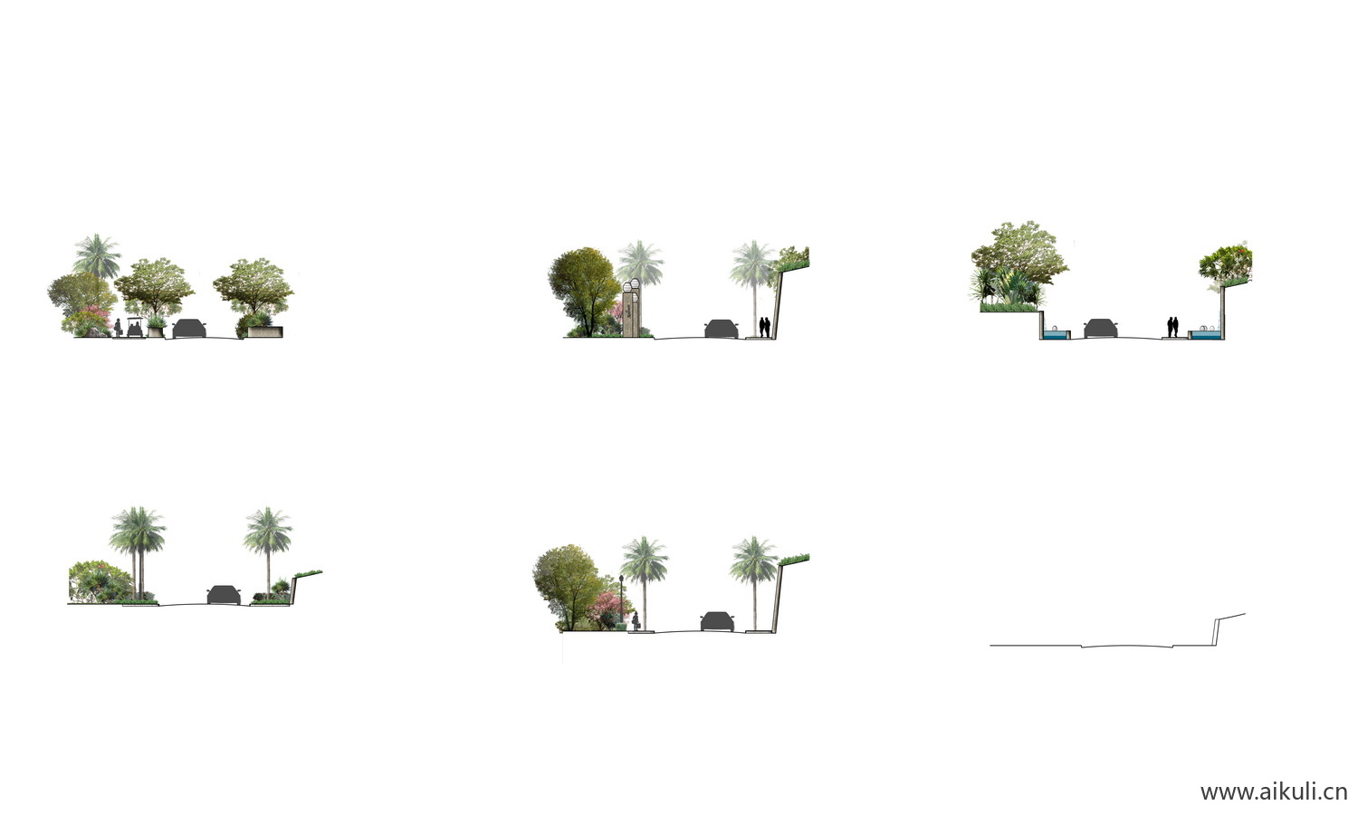 景观剖面 植物PSD素材