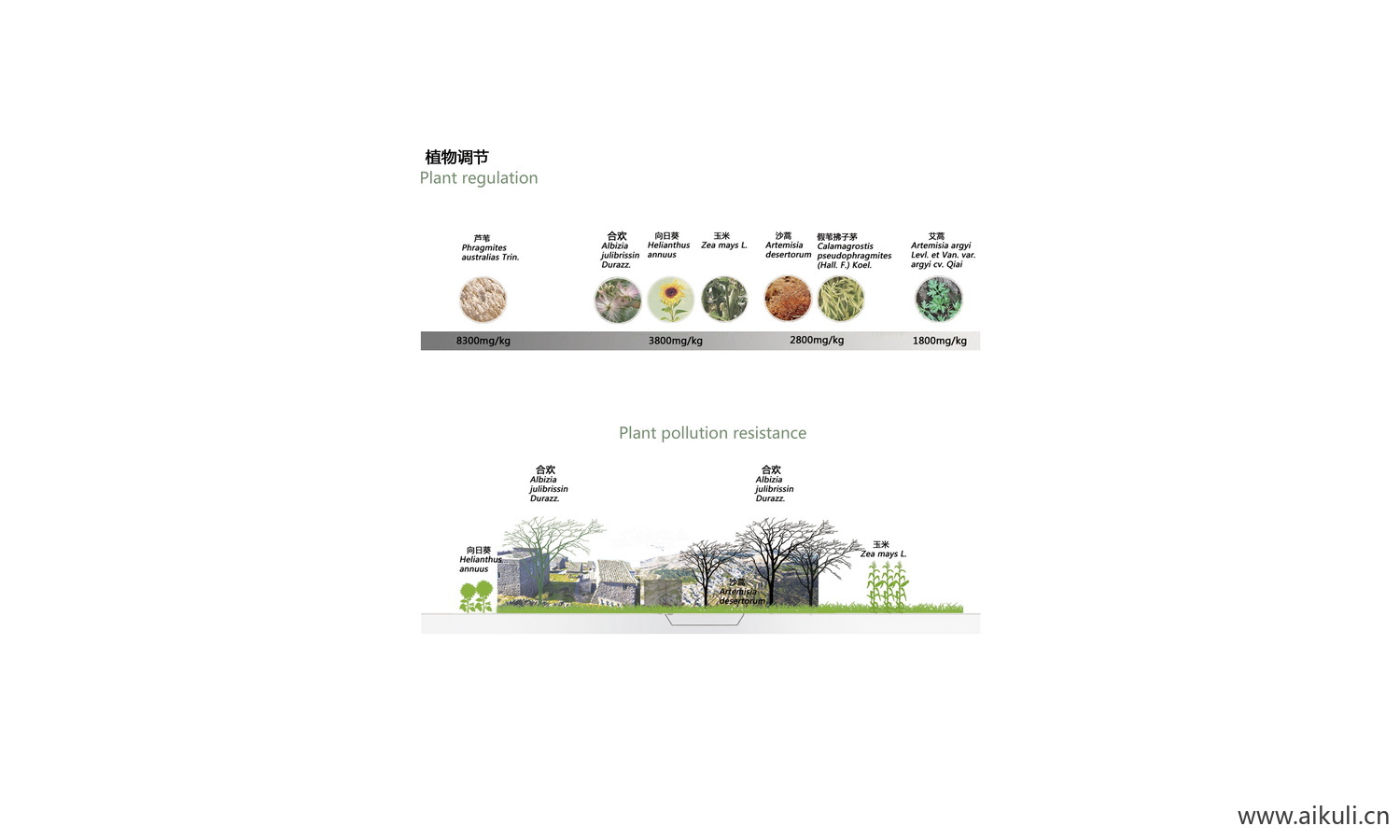 植物配植分析图 PS分层植物