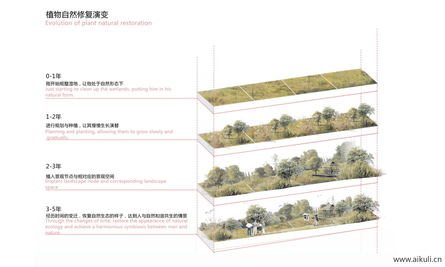PSD素材-景观植物分析图