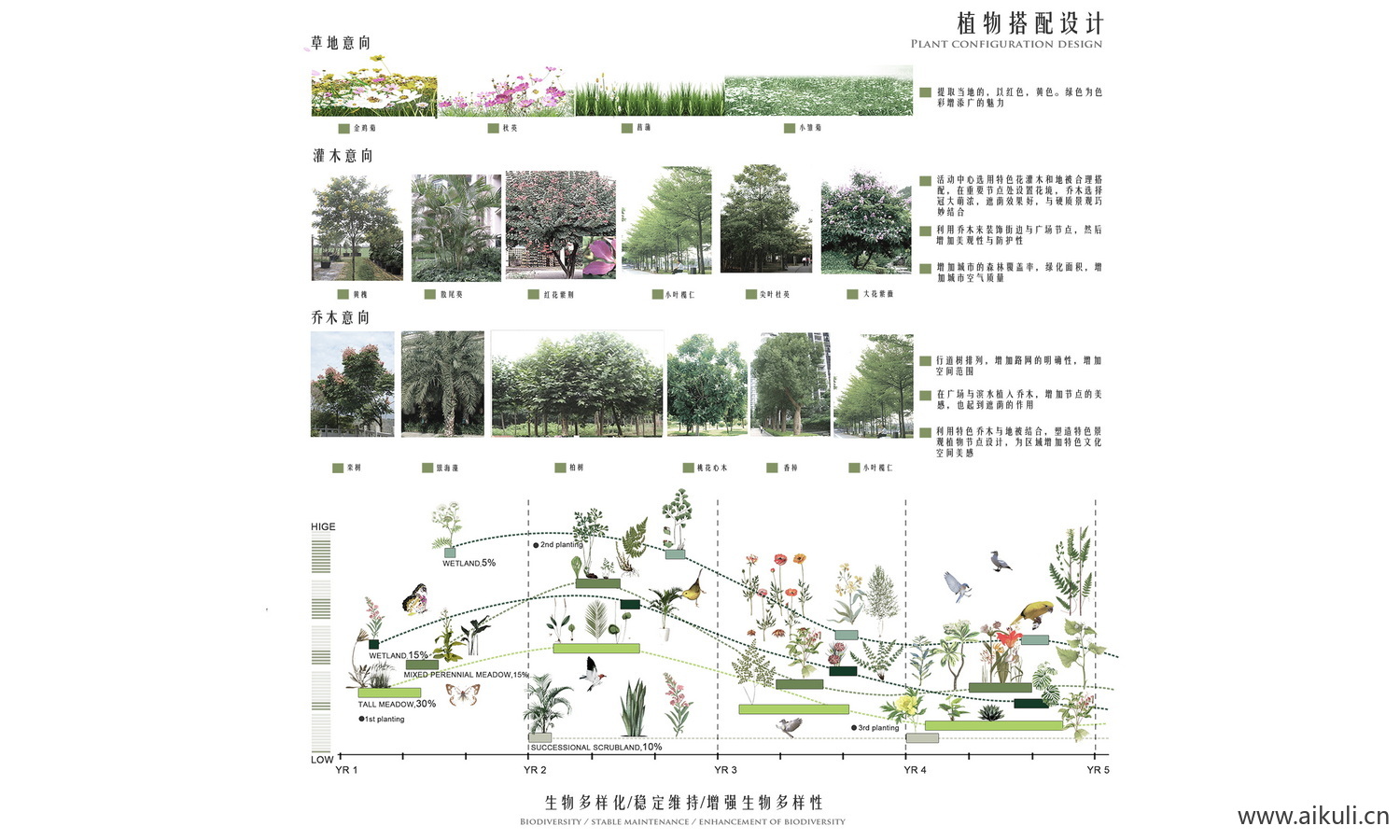 景观植物配植分析图 - PSD素材