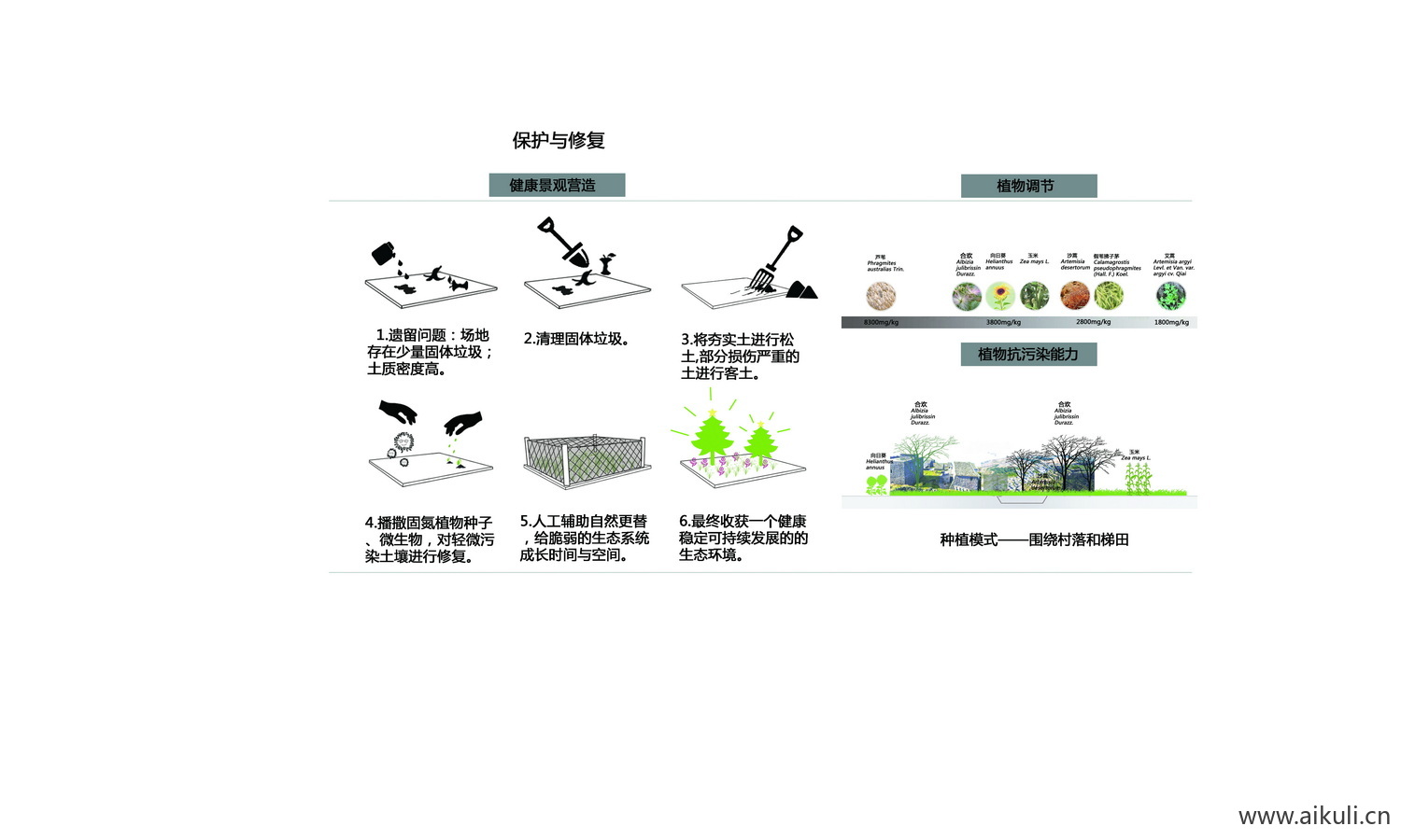 植物配植PSD素材分层土壤修复