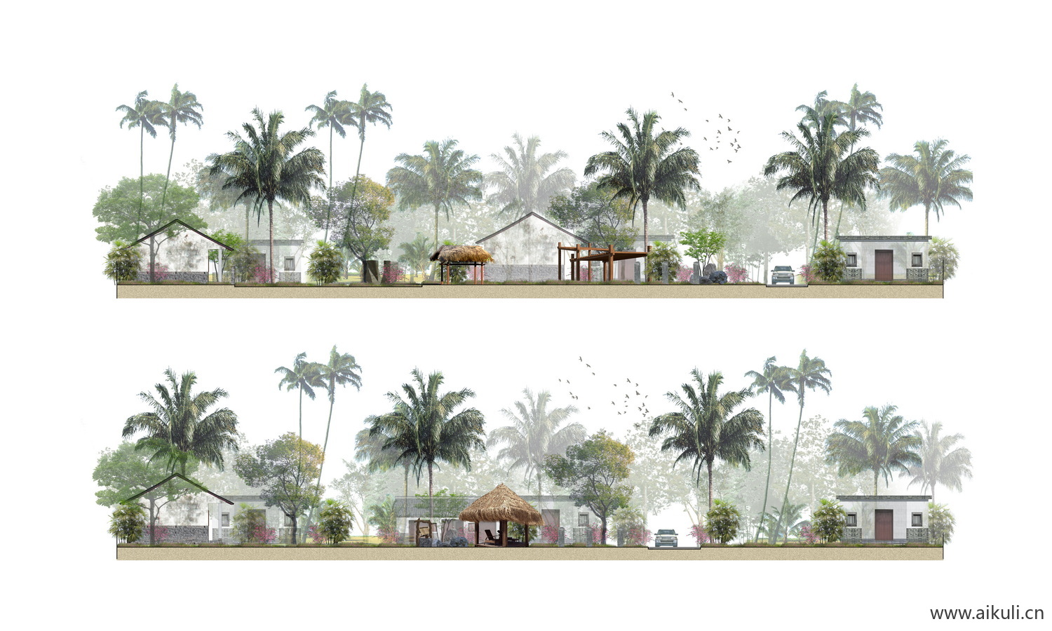 公园建筑景观热带植物剖立面效果图