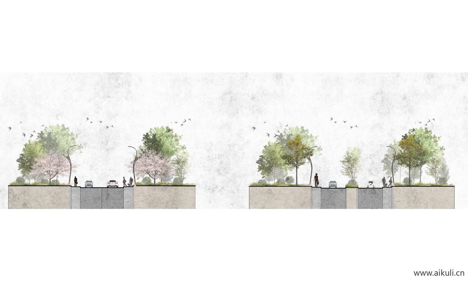 PS素材E园林公园景观植物剖面