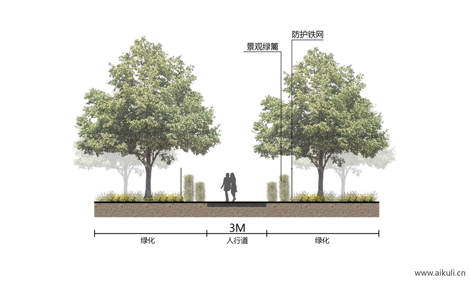 景观小清新psd分层素材道路剖断面植物剖立面