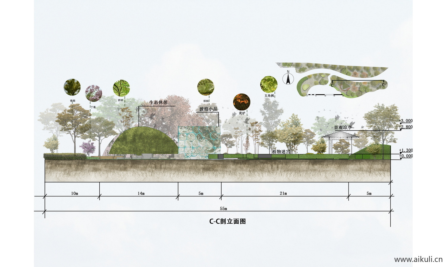 园林公园景观PSD免抠植物剖面素材