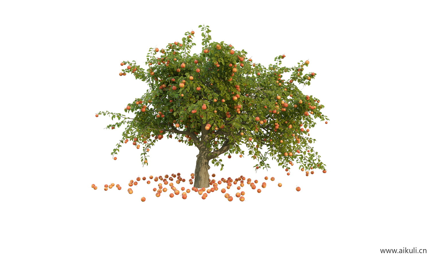 psd园林果树植物免抠