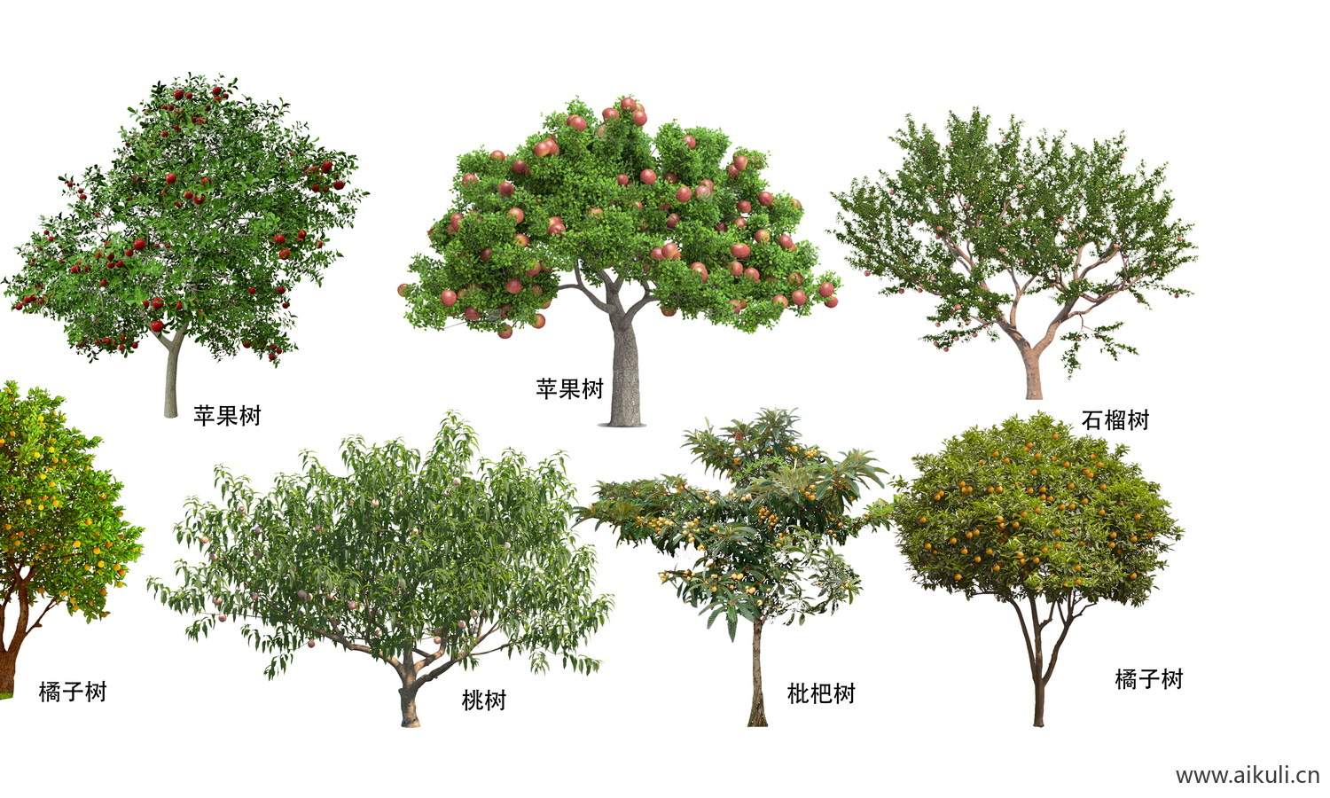 园林果树植物素材 psd乔木植物