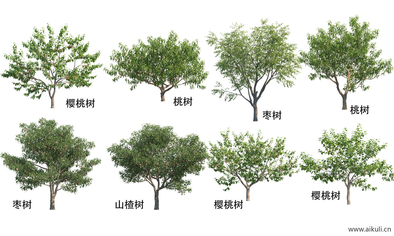 园林果树植物素材 psd乔木植物免抠 