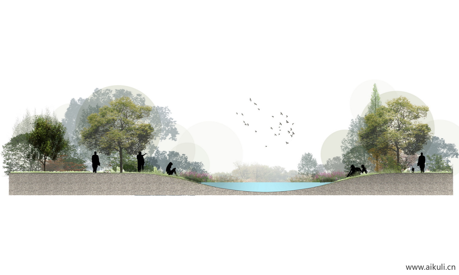 湿地公园景观植物剖面PS素材