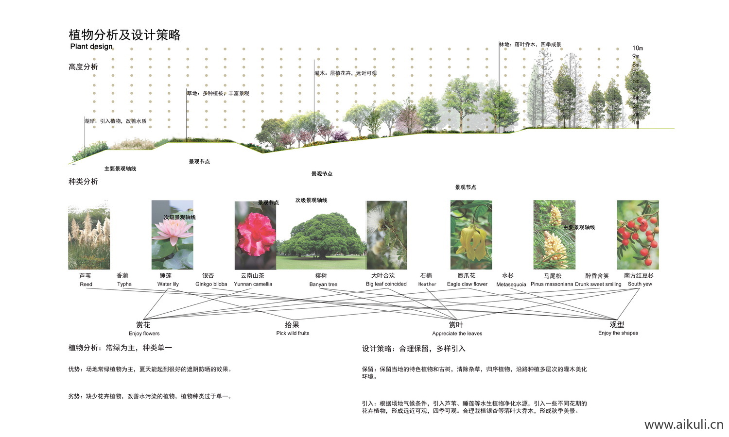 PS景观植物配植分析图 