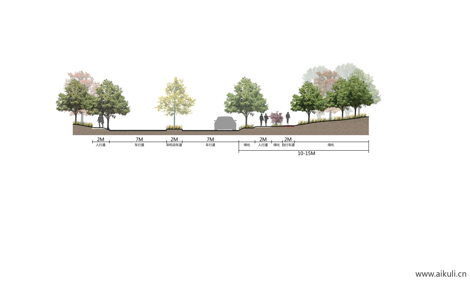 景观小清新道路剖断面植物剖立面psd分层素材