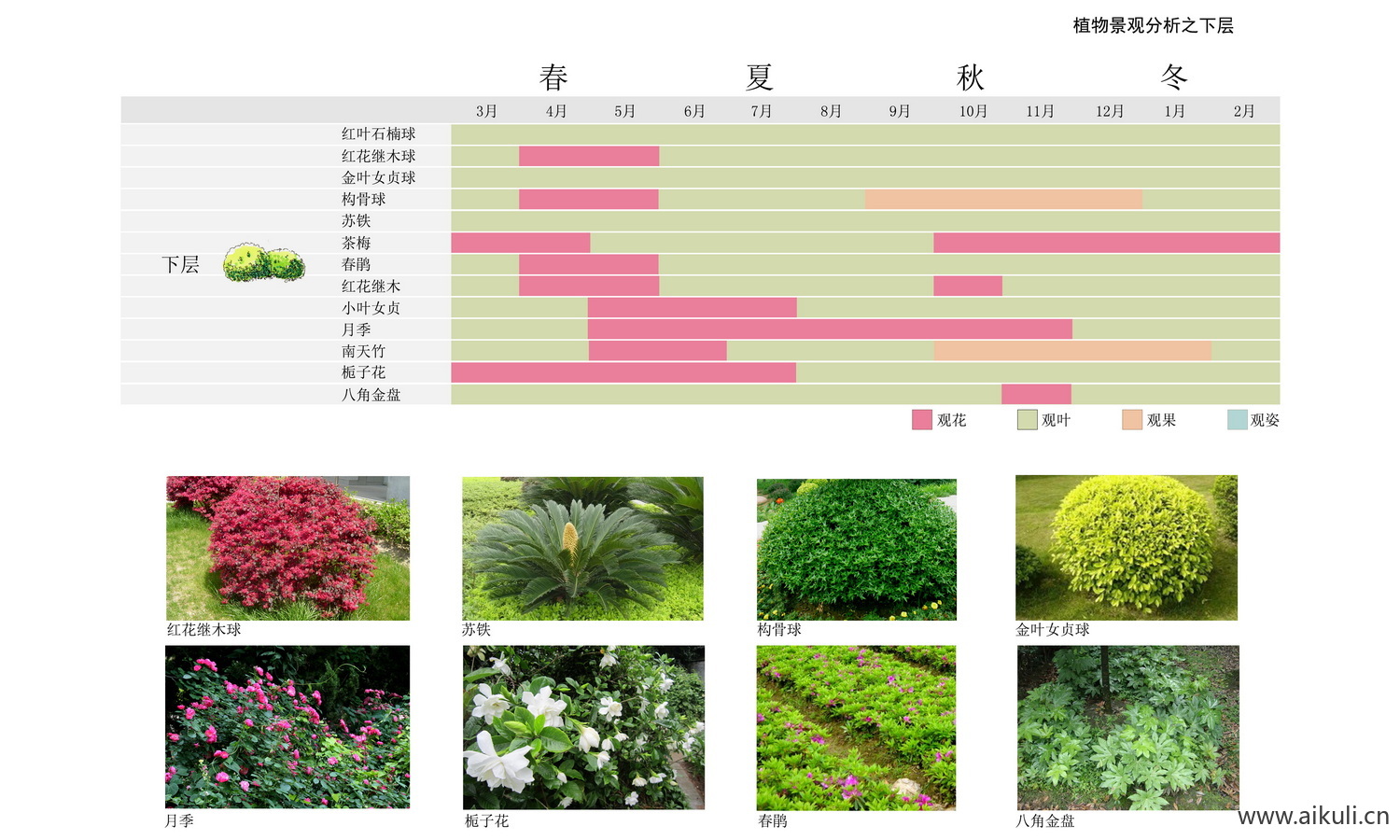 生态植物配植分析图素材PSD