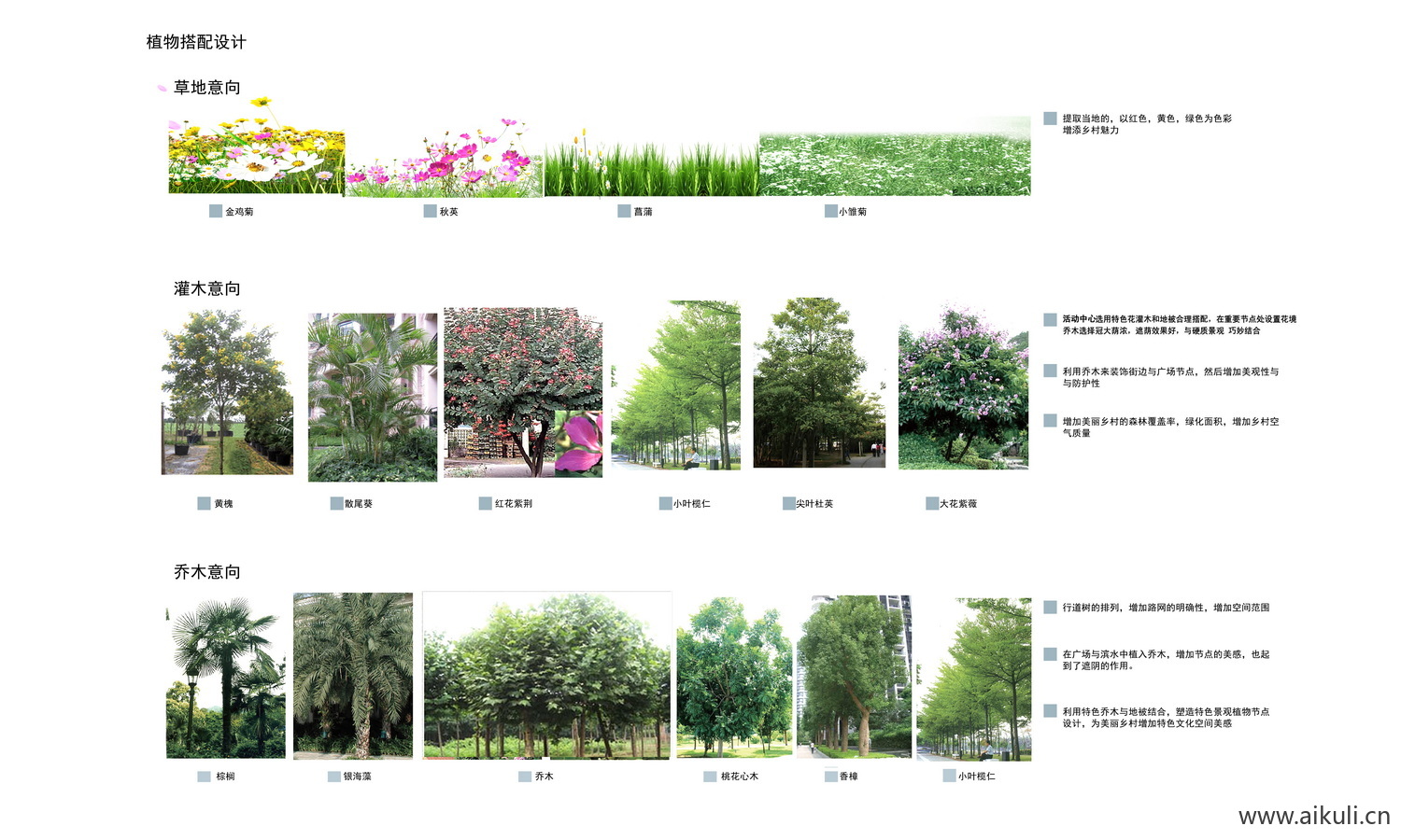 生态素材植物配植分析图PSD分层