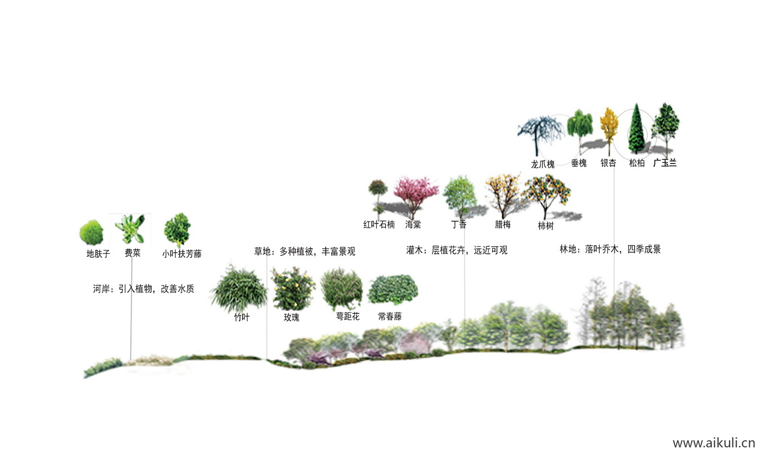 PSD素材景观G植物配植分析图 