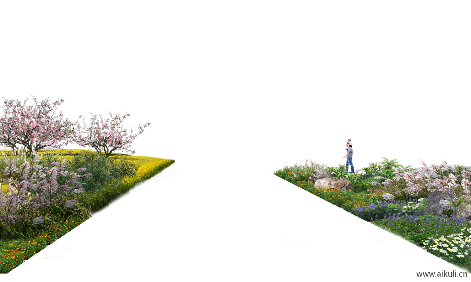 花境现代植物组合_植物组团_花坛_花镜_花池