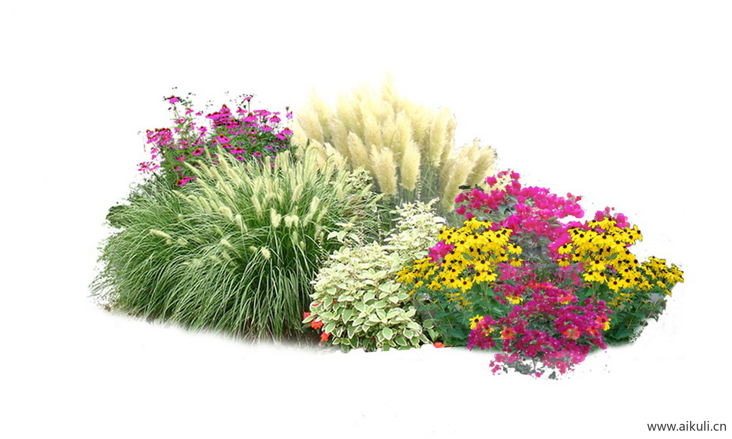 花境组合3