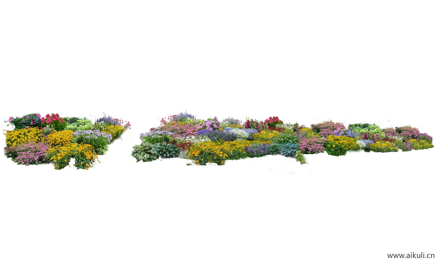 PSD花境花卉花境组团
