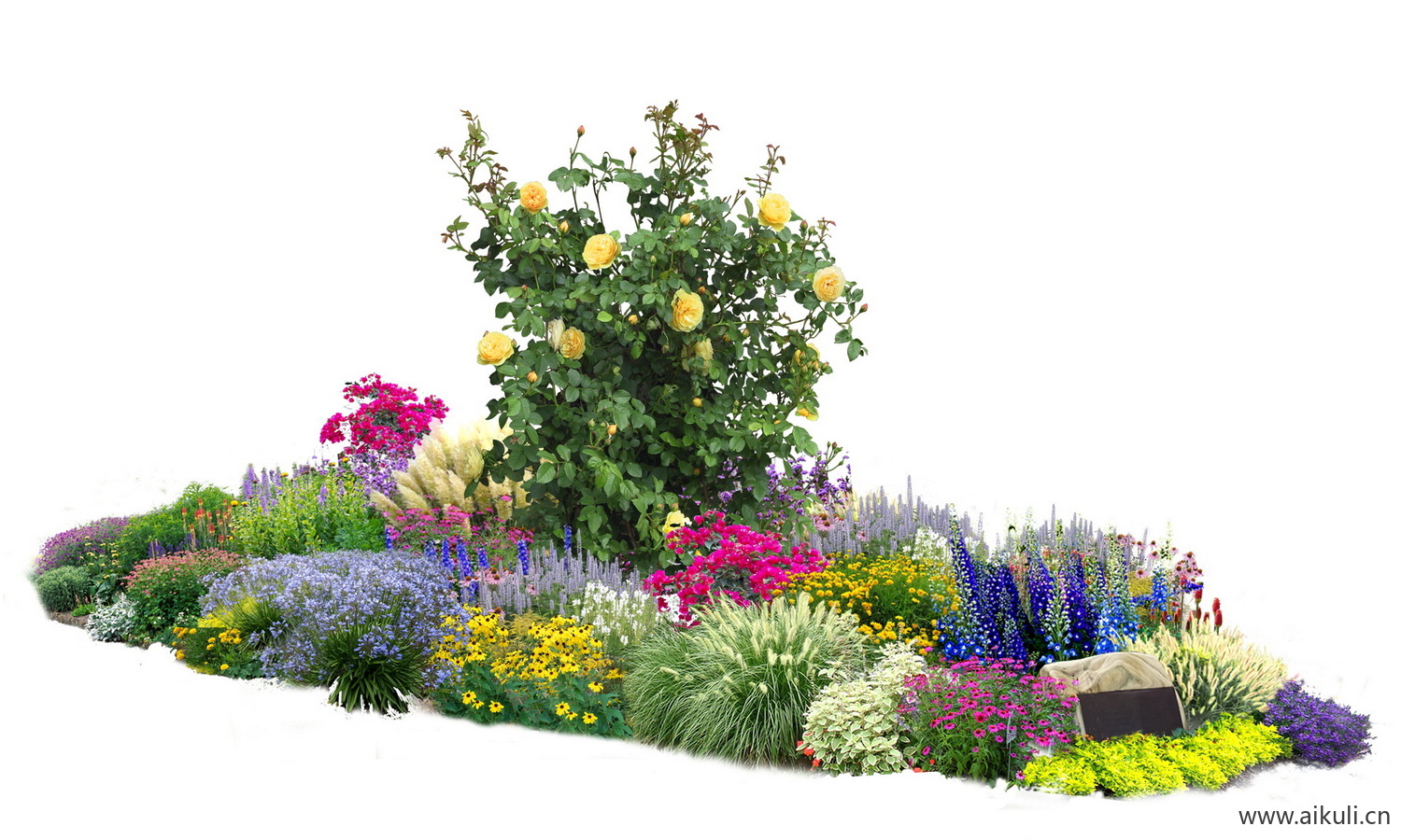花境组团PS现代花境植物组团
