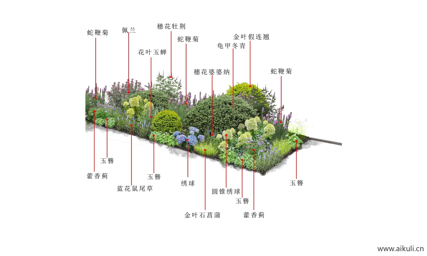 植物组团花境阴生花境PSD