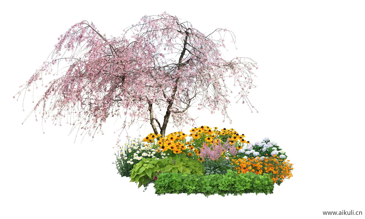 PSD植物花境组合