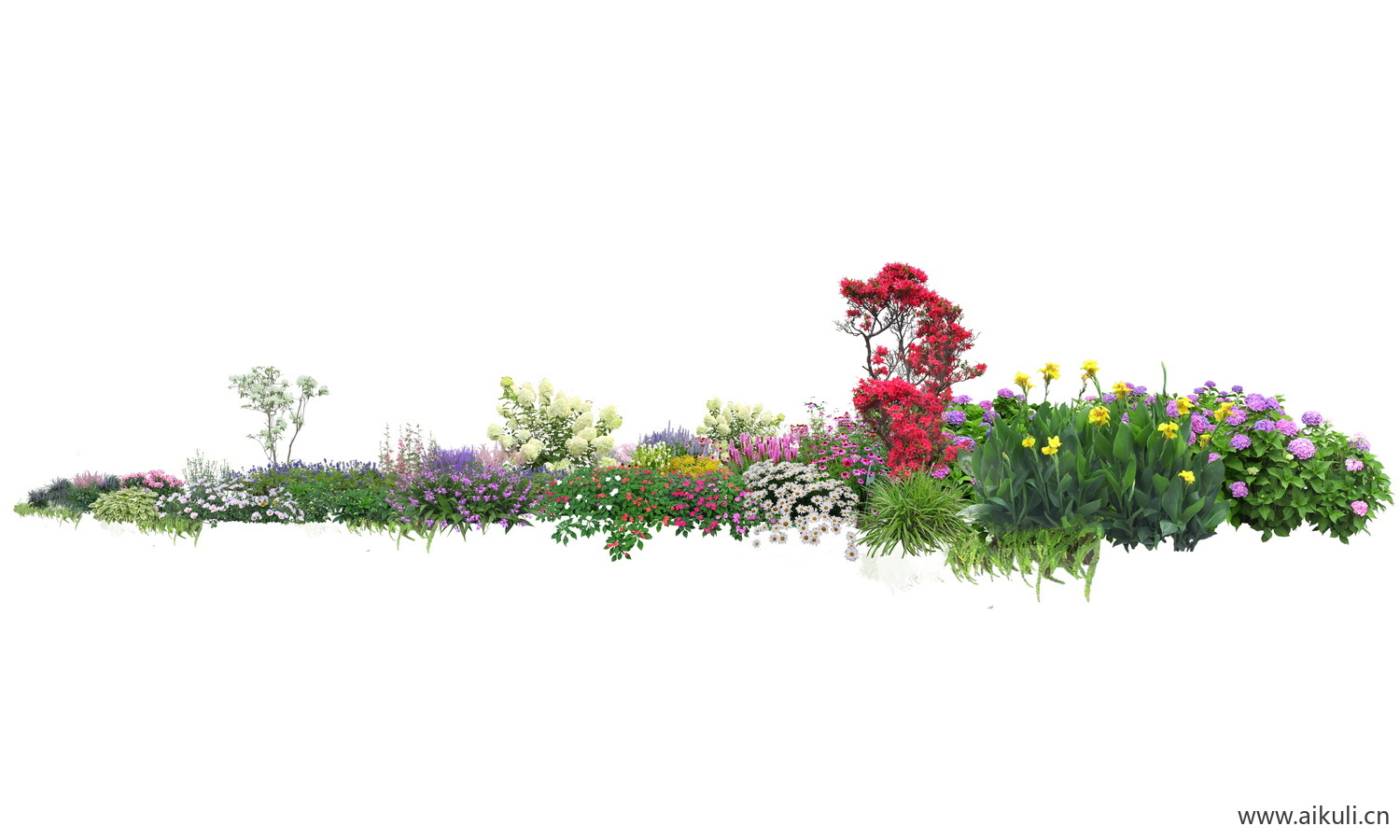 现代PSD花境植物