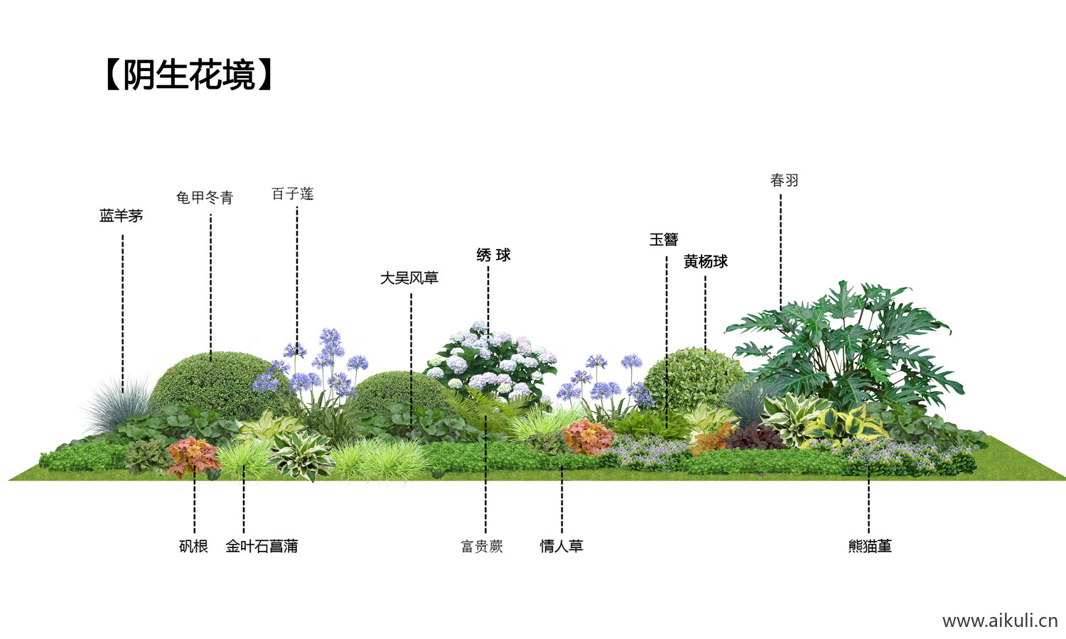 植物组团花境阴生花境效果图_免抠