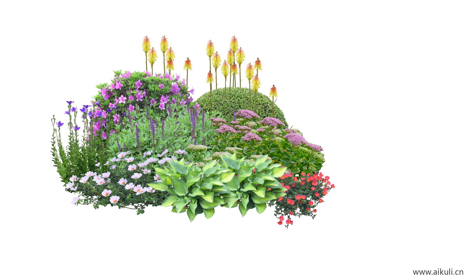 花境PSD现代花境植物PSD