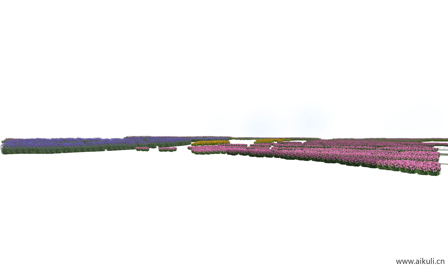 花田花海景观素材PSD花田