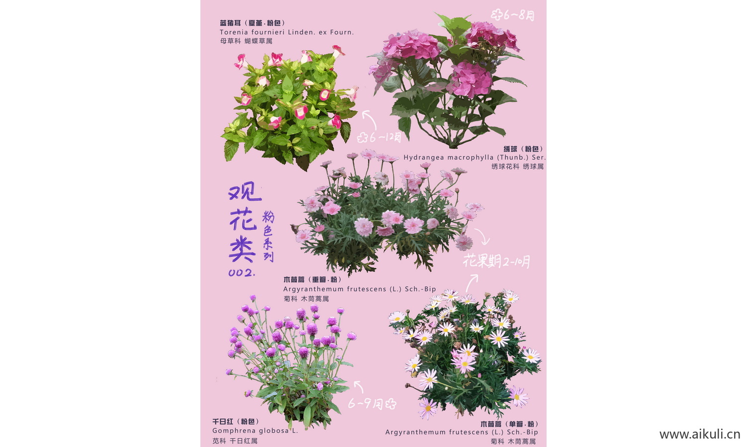 PSD花草植物