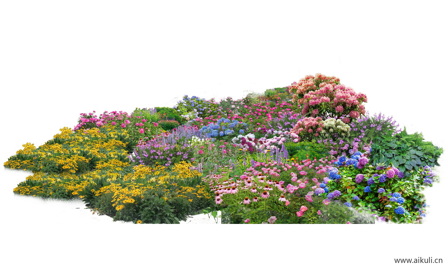 花境组团 植物花境组团PSD