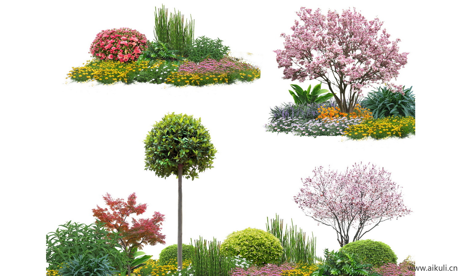 psd植物造型