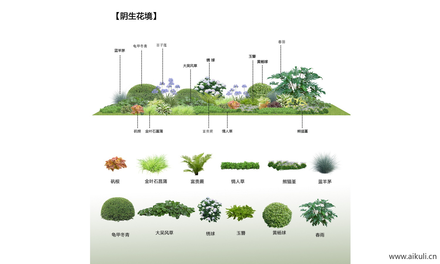 psd花草花镜植物-花台花卉