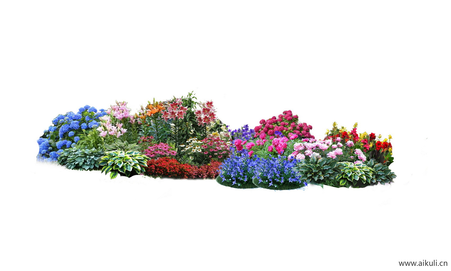 花境现代花境植物PSD