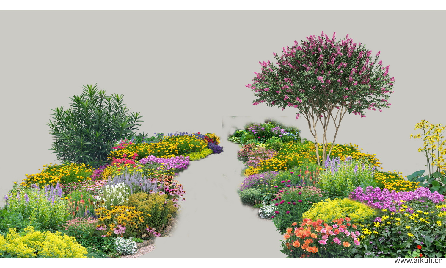 植物组团花境阴生花境效果图-免抠