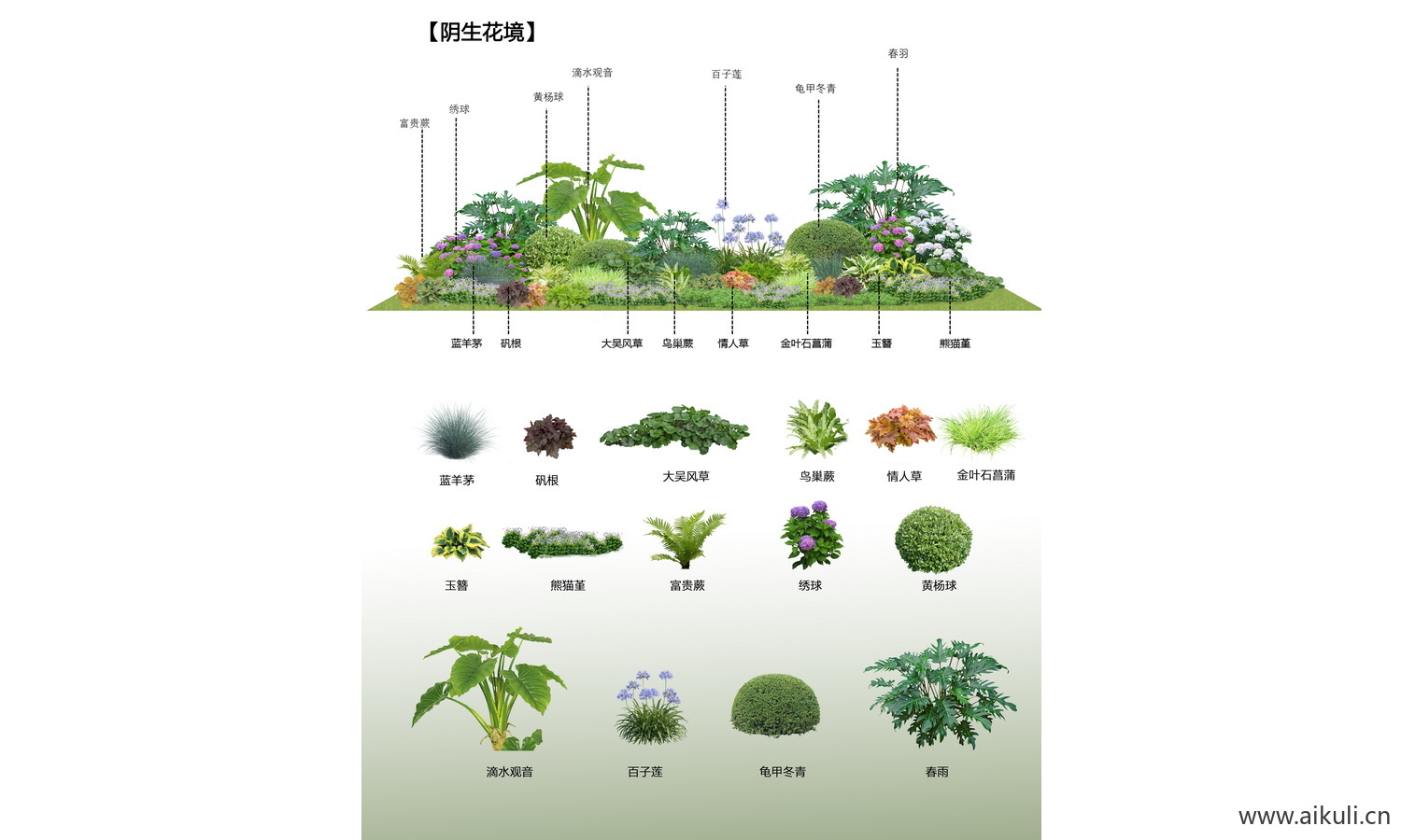 psd花境花卉组团 花境花卉免抠