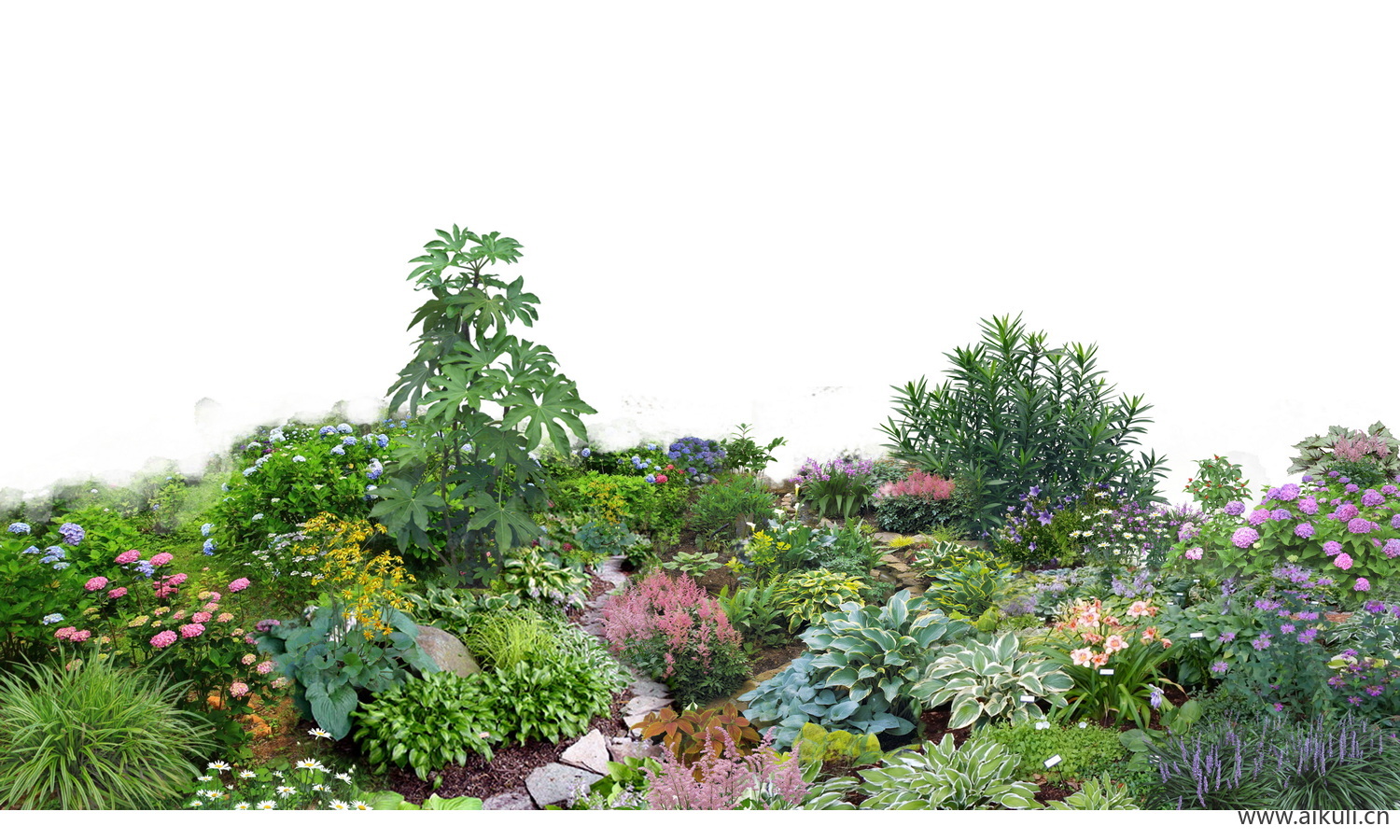 花境组团 psd现代花境植物组团