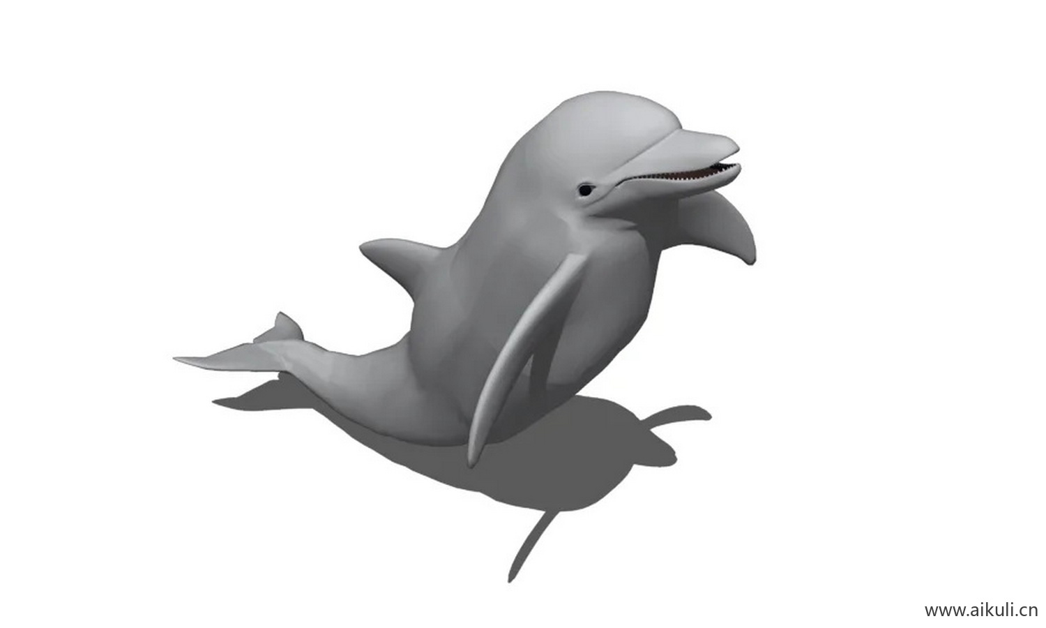 海豚