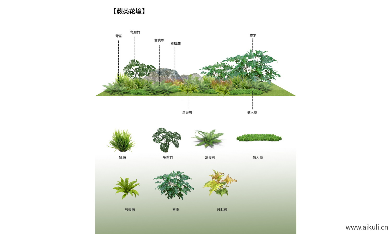 花草花镜植物-组团花台花卉psd
