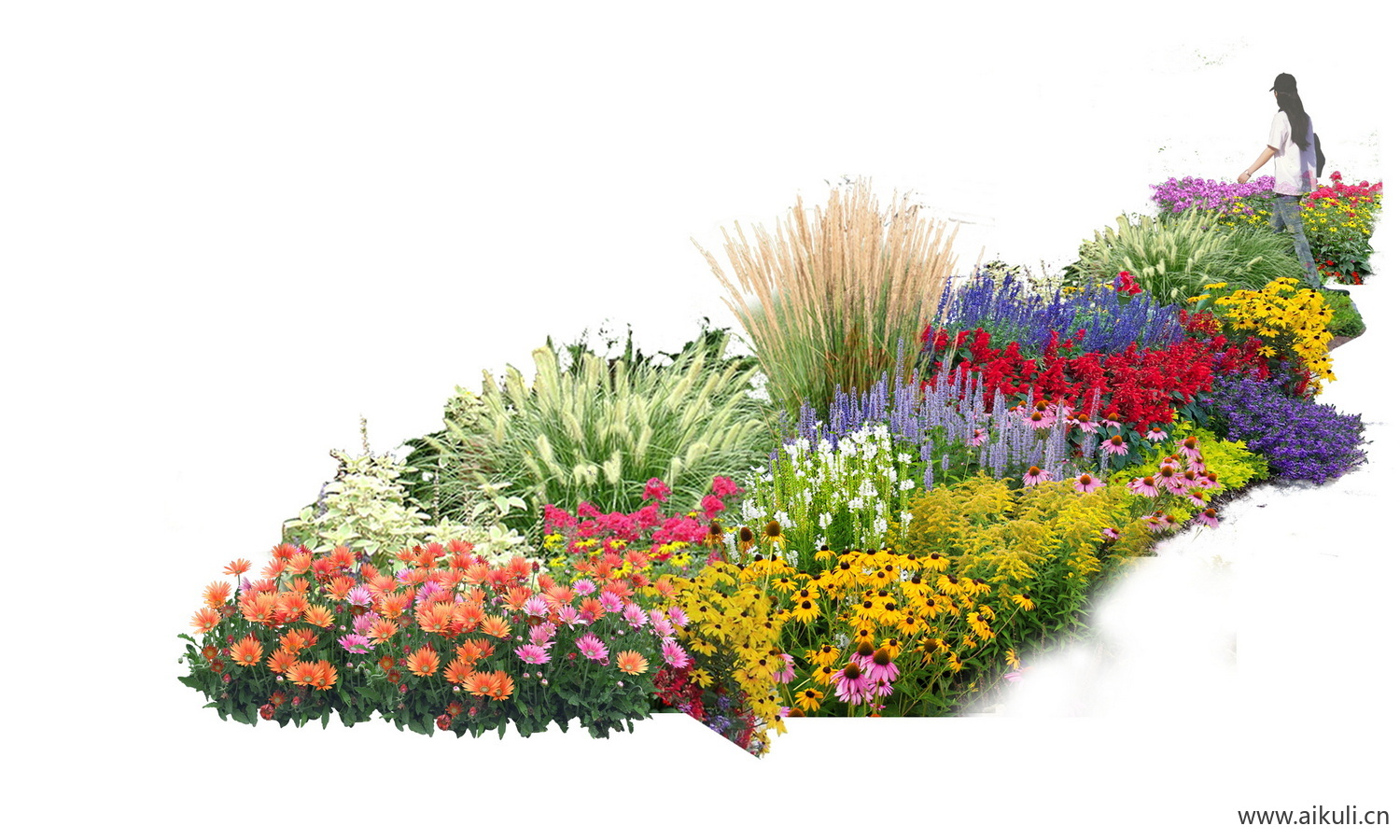 花境组团PSD花境花卉