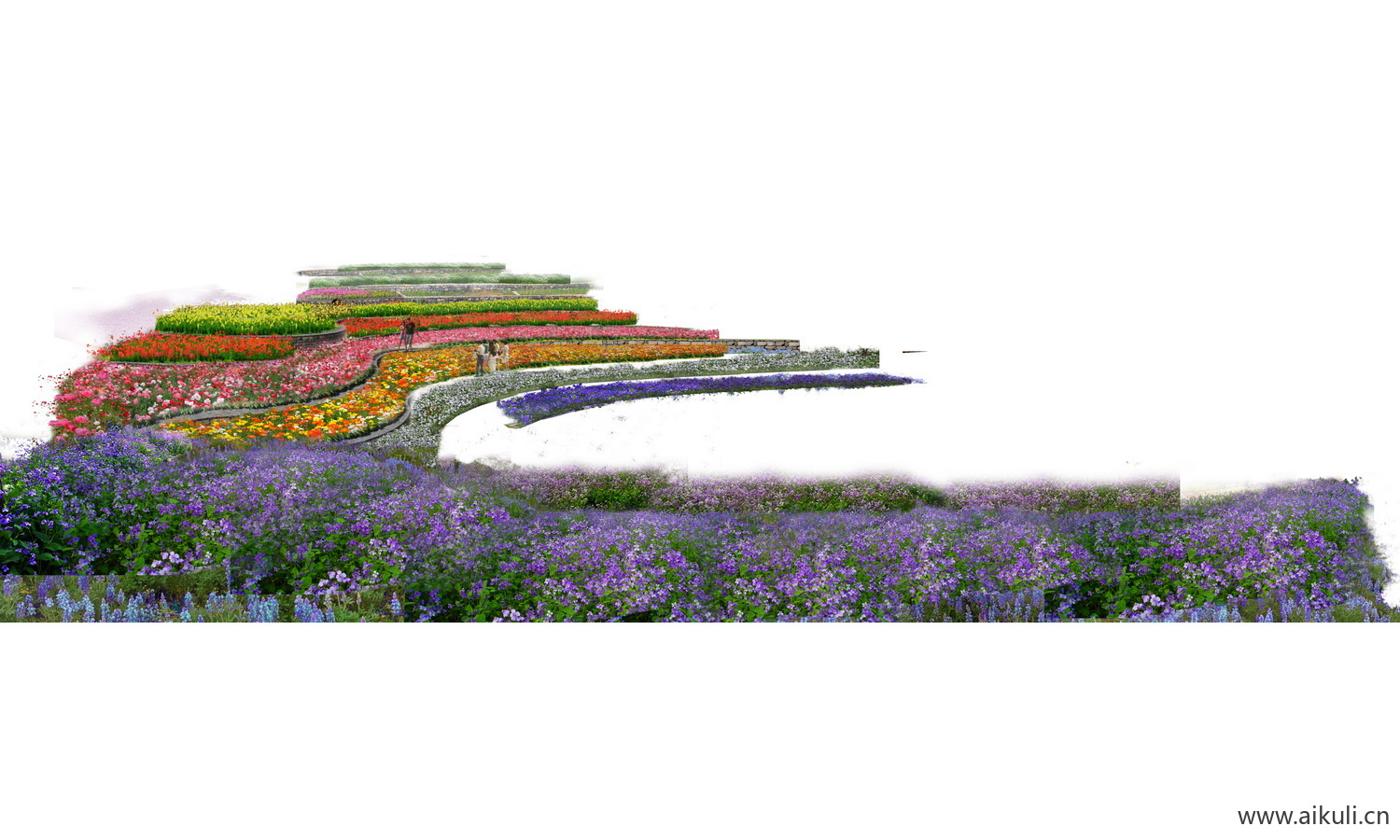 PSD免抠花田花海景观-素材